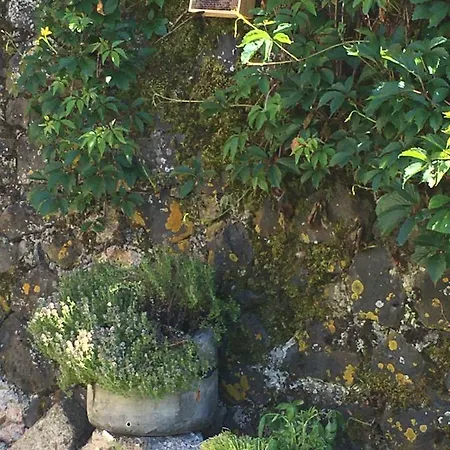 La Cure Grande Maison De Charme De 2 A 14 Personnes *